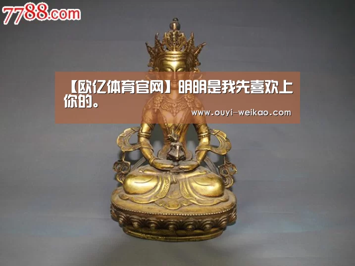 欧亿体育团队