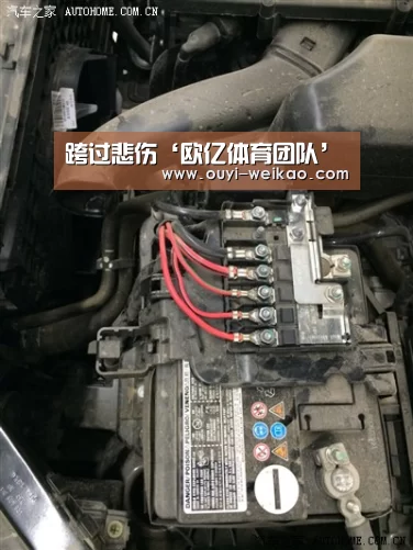 跨过悲伤‘欧亿体育团队’(图4) 欧亿体育团队