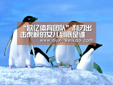 “欧亿体育团队”利刃出击虎鲸的女儿到底是谁 虎鲸养女真名及结局曝光(图2) 欧亿体育