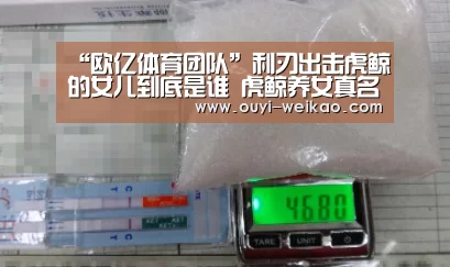 “欧亿体育团队”利刃出击虎鲸的女儿到底是谁 虎鲸养女真名及结局曝光(图1) 欧亿体育
