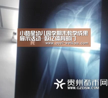 欧亿体育公司