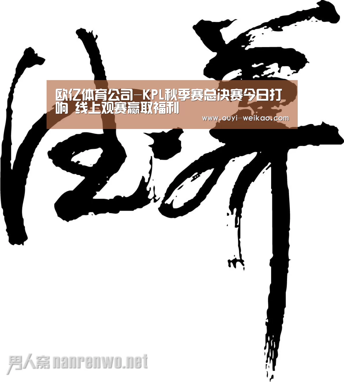 欧亿体育团队