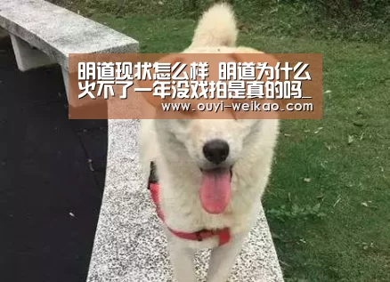 欧亿体育部门
