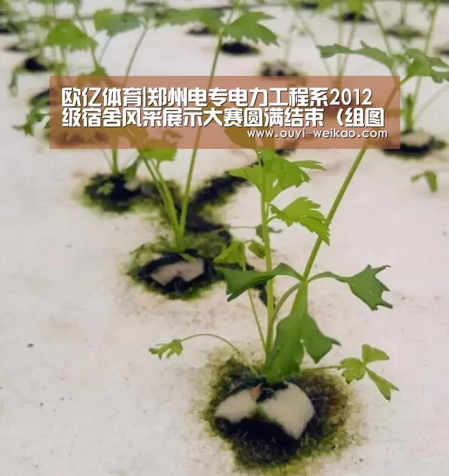 欧亿体育官网