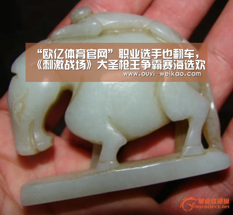 欧亿体育公司