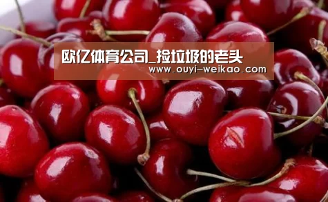 欧亿体育公司_捡垃圾的老头(图3) 欧亿体育