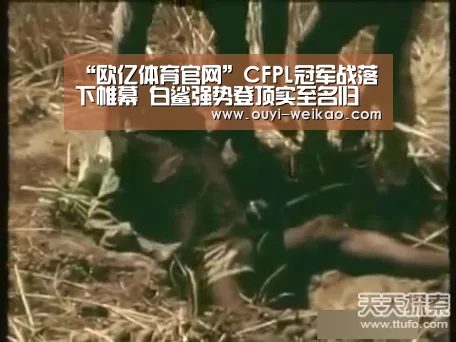 “欧亿体育官网”CFPL冠军战落下帷幕 白鲨强势登顶实至名归(图1) 欧亿体育团队